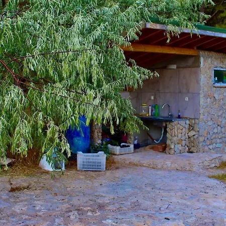 The Vista Village