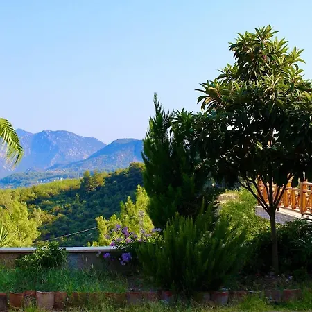 The Vista Village *